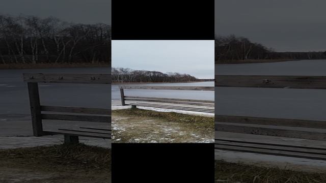 VID_20241203_130845.mp4