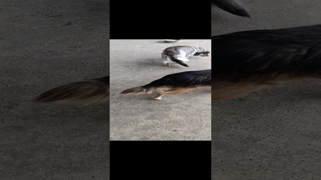 1000000532.mp4