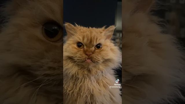 Последний рабочий день в этом году, держимся из последних сил🤣