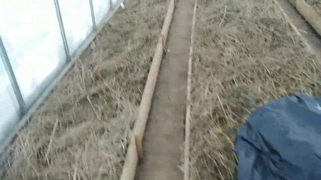 Даже Зимой❄️Все Мысли💥 и Планы о Томатах🍅Теплицы Требуют Внимания💯Я в Дороге, я в Пути👣Сандово.