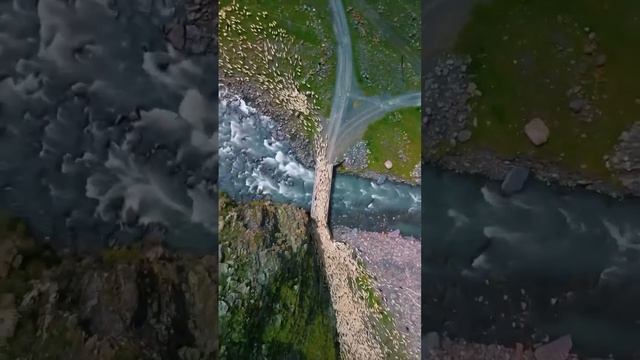Перегон отары овец в Дагестане.