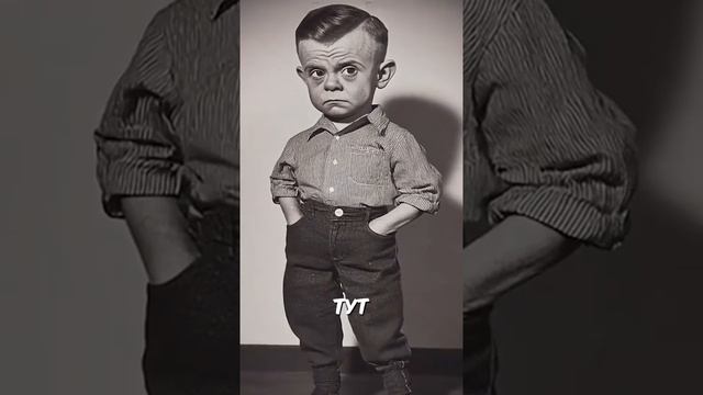 Интересные истории