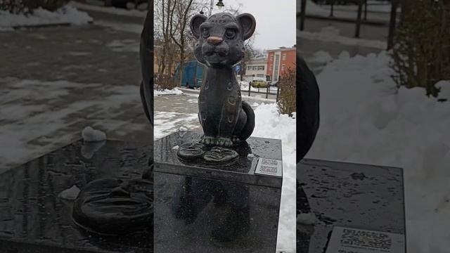 Псковские Барсики
#псков #псковскиебарсики #путешествие