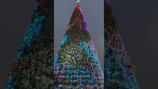 С наступающим 2025 годом!