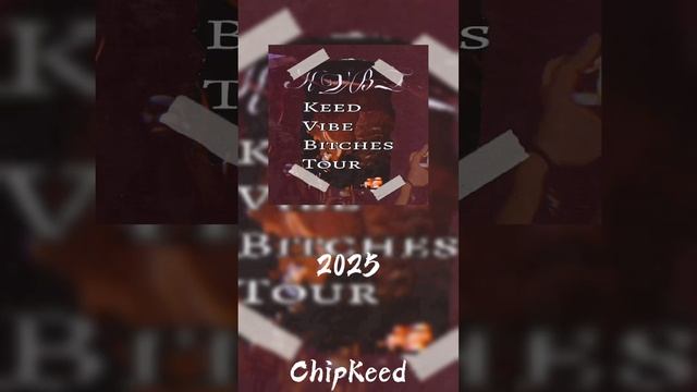 ChipKeed 2025