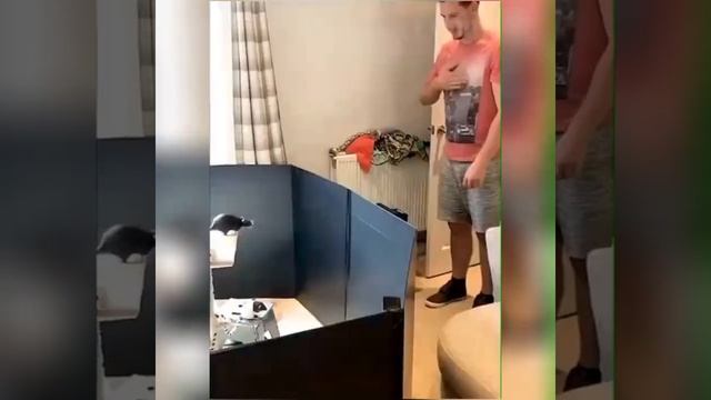 🔞 СБОРКА ПРИКОЛОВ 🤣 ЛУЧШИЕ ПРИКОЛЫ