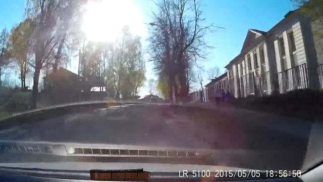 Голубь спешит через дорогу пешком))