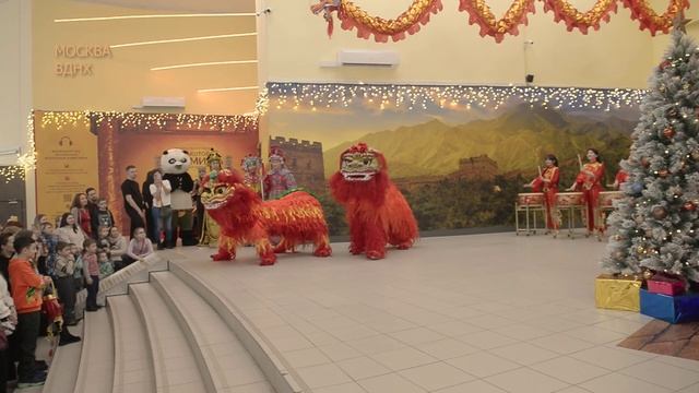 Традиционный танец Китайских Львов . Китайские артисты в Москве. Большое китайское шоу