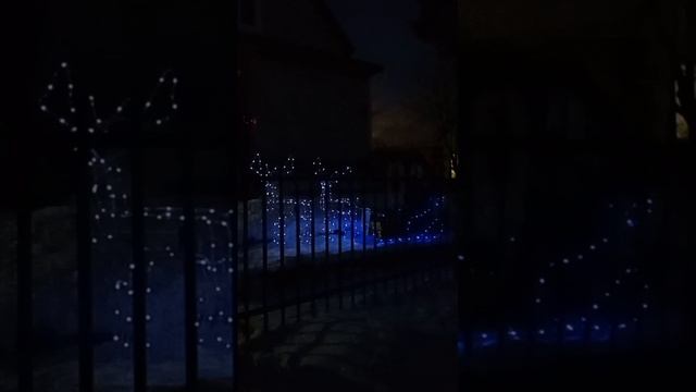декабрьский выходной