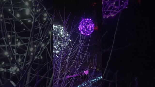 1000178287.mp4 скоро новый год