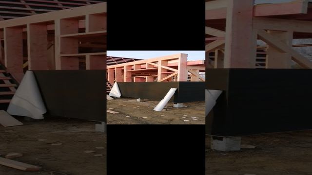 export_3883489899321624420.mp4