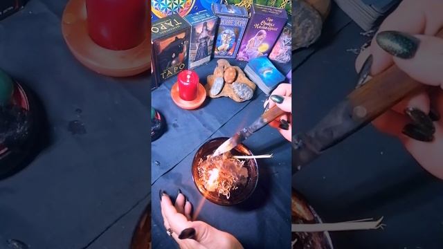 🔥🔥 ОТЖИГ ХОМУТОВ, ПУТ И ОШЕЙНИКОВ 🔥🔥