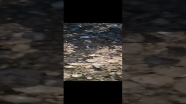 Разобрали тормоза МТЗ-80 А ТАМ......