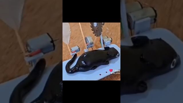 1000015484.mp4