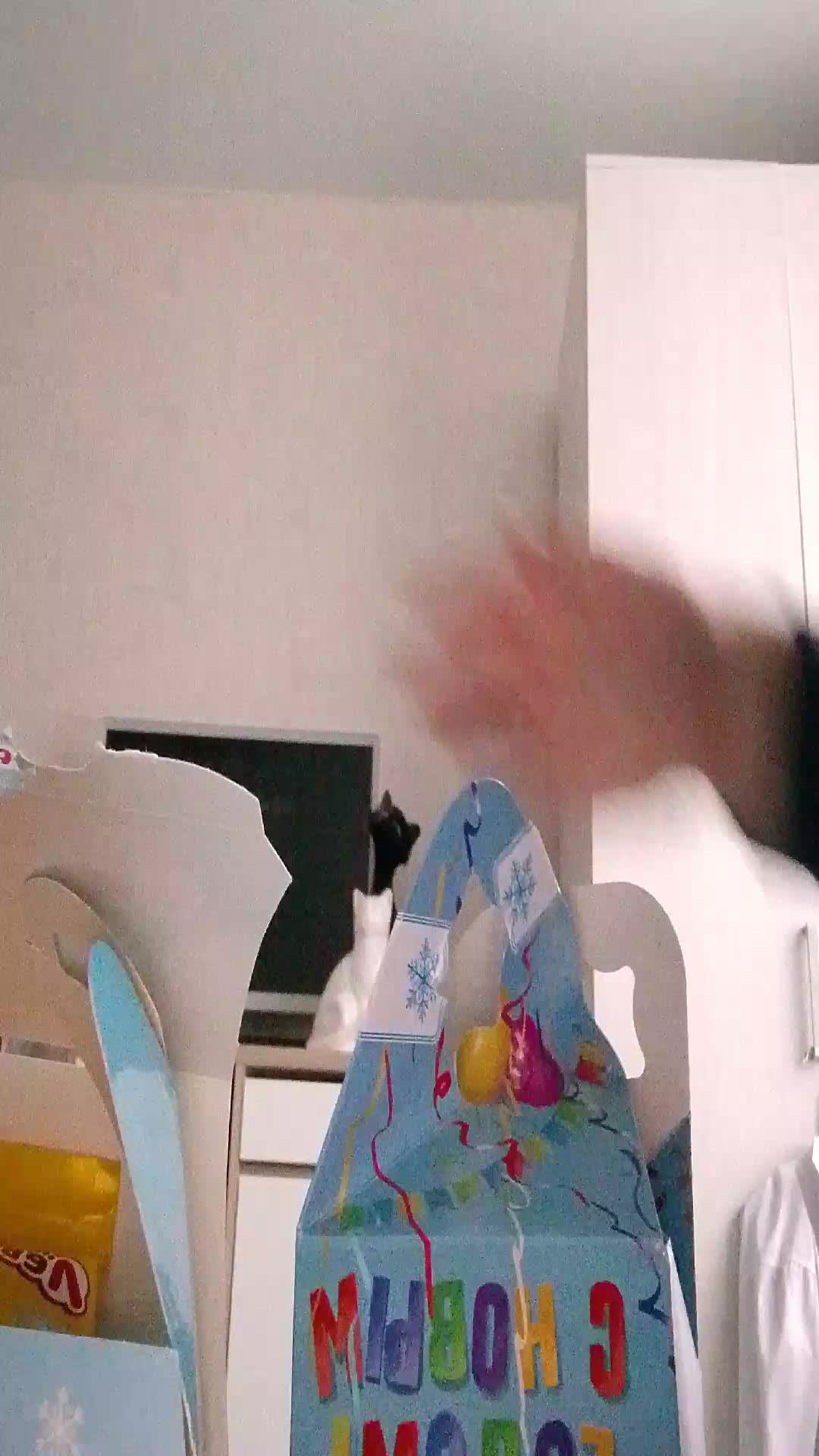 мои шеколадки которые дали в школе