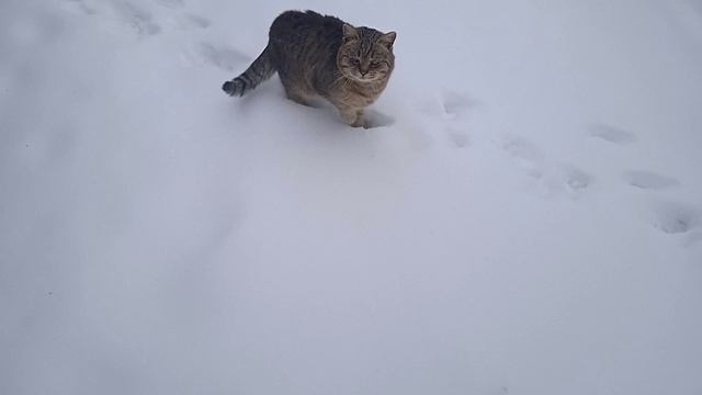 МАСТЕРСКАЯ В СНЕГУ..ЭТАПЫ СТРОЙКИ