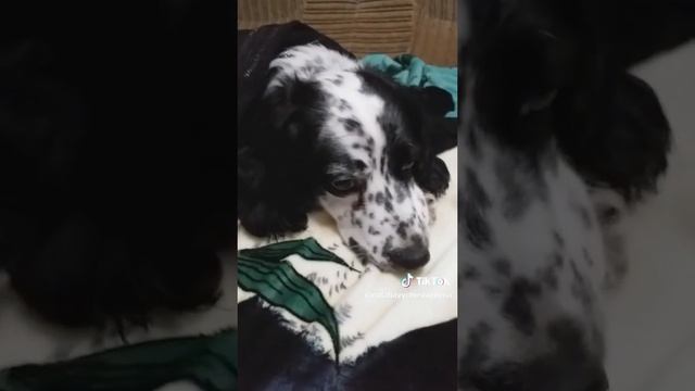Как золушка...)))