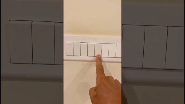 это Индия #путешествия #индия #отель