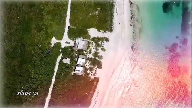 Два крыла - Александр Разгуляев