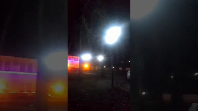 Новогодний от нашей подписчицы Альбины 28.12.24 🥰💫