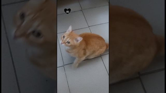 Скажи что-нибудь ещё, Кузьма!