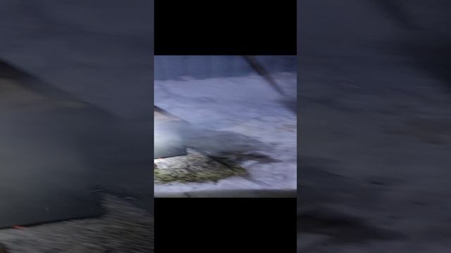 28-12-2024 Щука поймана 2-3 дня назад уже В Коптилне ,получилась просто Шикарно 💪👍🍻🍺🎆🎇🔥🔥🔥