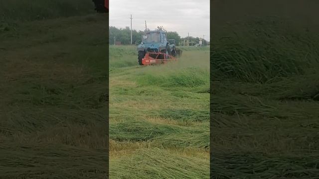 30 мая 2023 г.