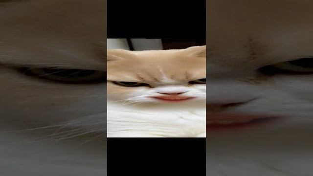 идиии спииии!!!!!!!