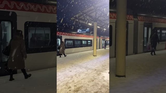 Предновогодние дни 2024