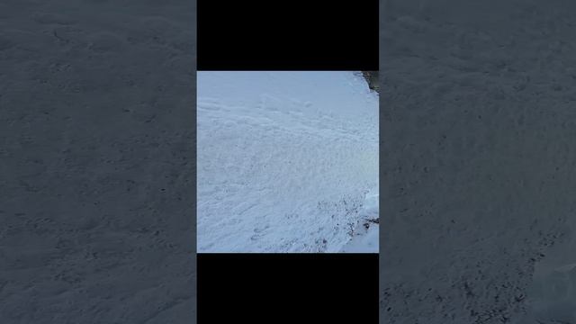 Строим шалаш часть 6