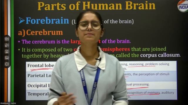 Nervous System- Introduction | CHAPTER - 11 | PART - 1 | HAP | D,PHARMA | FIRST YEAR
