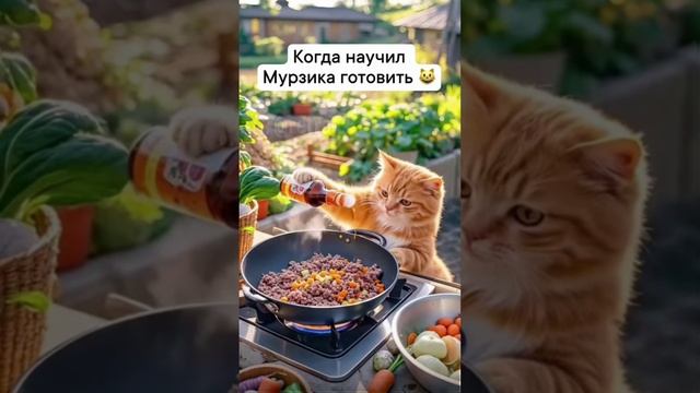 Когда научил Мурзика готовить (кот готовит еду)