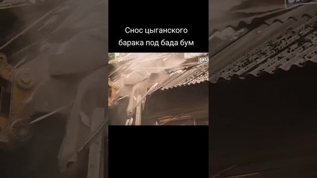 ТИМА ПИТУШАР