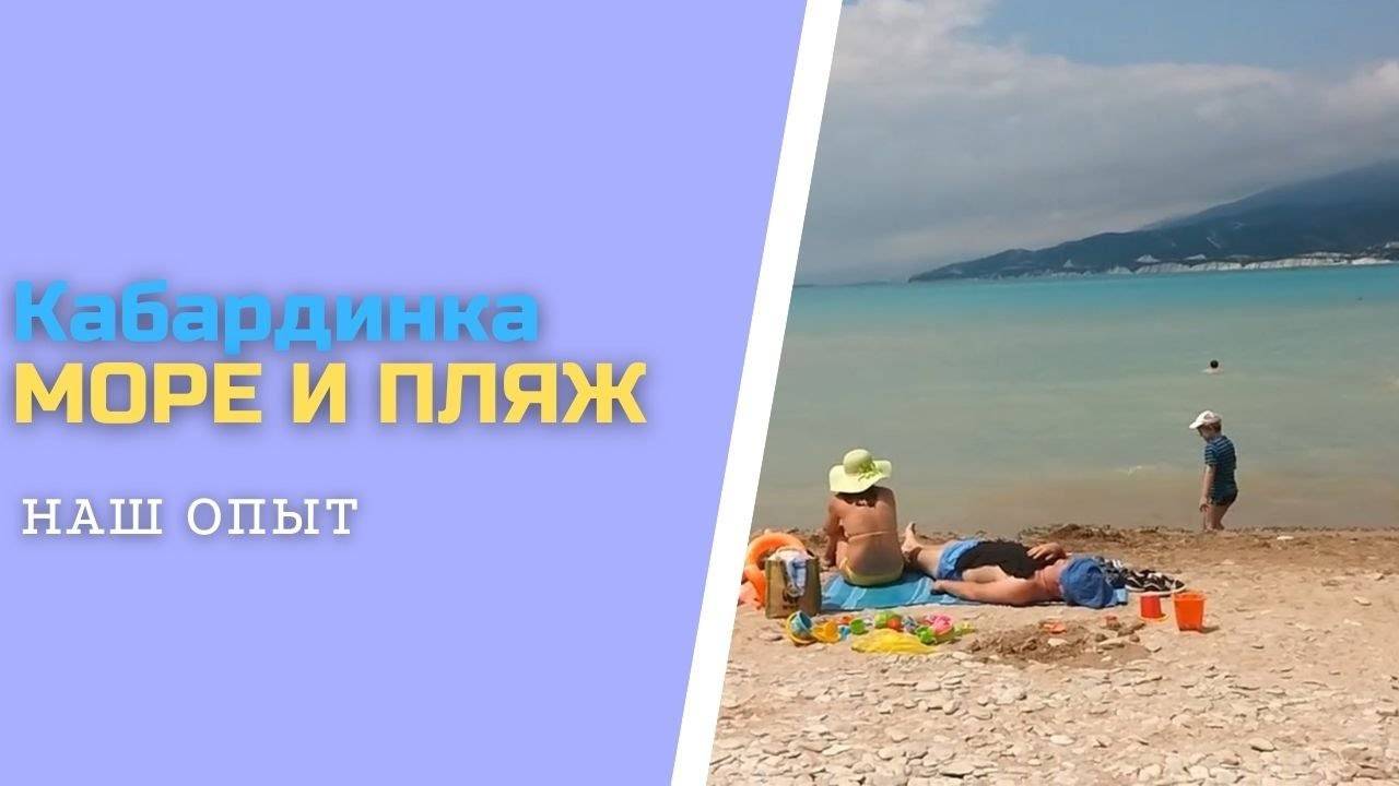 Дельфины В Море Кабардинки