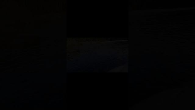 IMG_20241228_161933_307.mp4