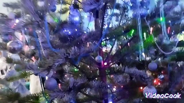 VideoCook_20241228_133546574