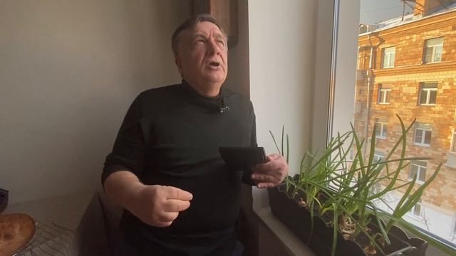 Зеленый лук зимой!