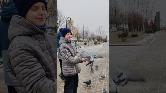 Кормим птиц