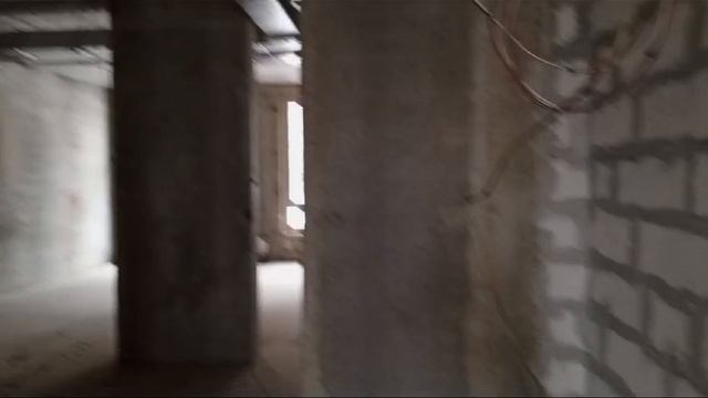 WhatsApp Video 2024-12-28 at 11.18.49 (1)