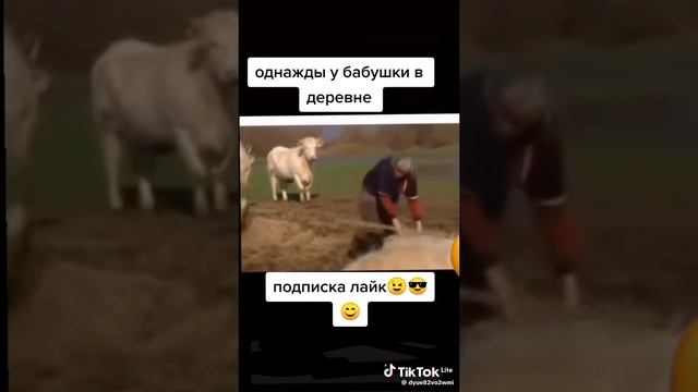 ОДНАЖДЫ В ДЕРЕВНЕ🤣
