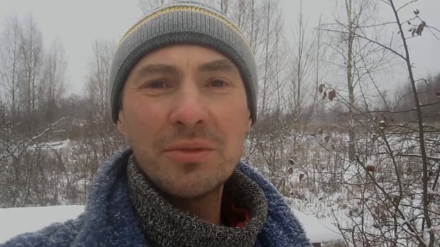 Зачем приезжать на пасеку в начале зимы.Беглая ревизия. Укрываю летки хвоей от синиц и мышей.