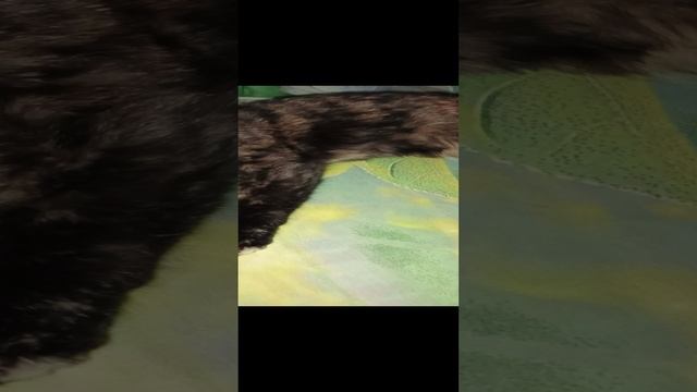 1000008805.mp4