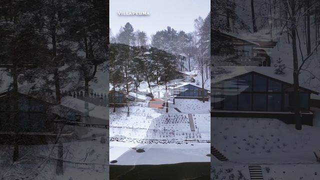 ЗИМНИЕ КРАСОТЫ