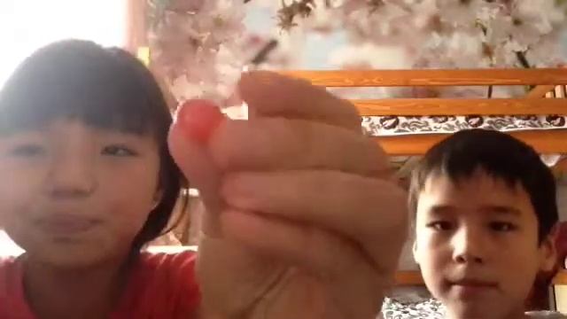 Пробуем вкусняшки🍭🍬🍫🍡