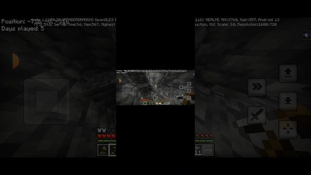 survival