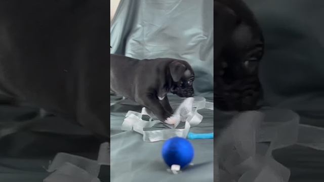 1000149613.mp4