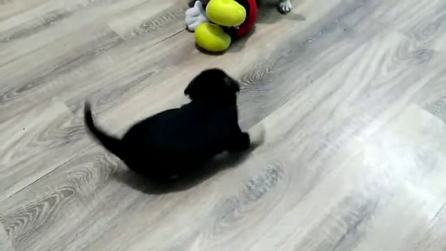 Винни и его мама