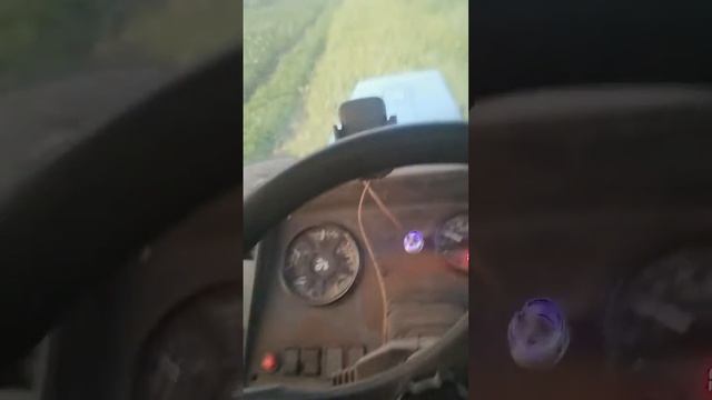 маневры на огороде
