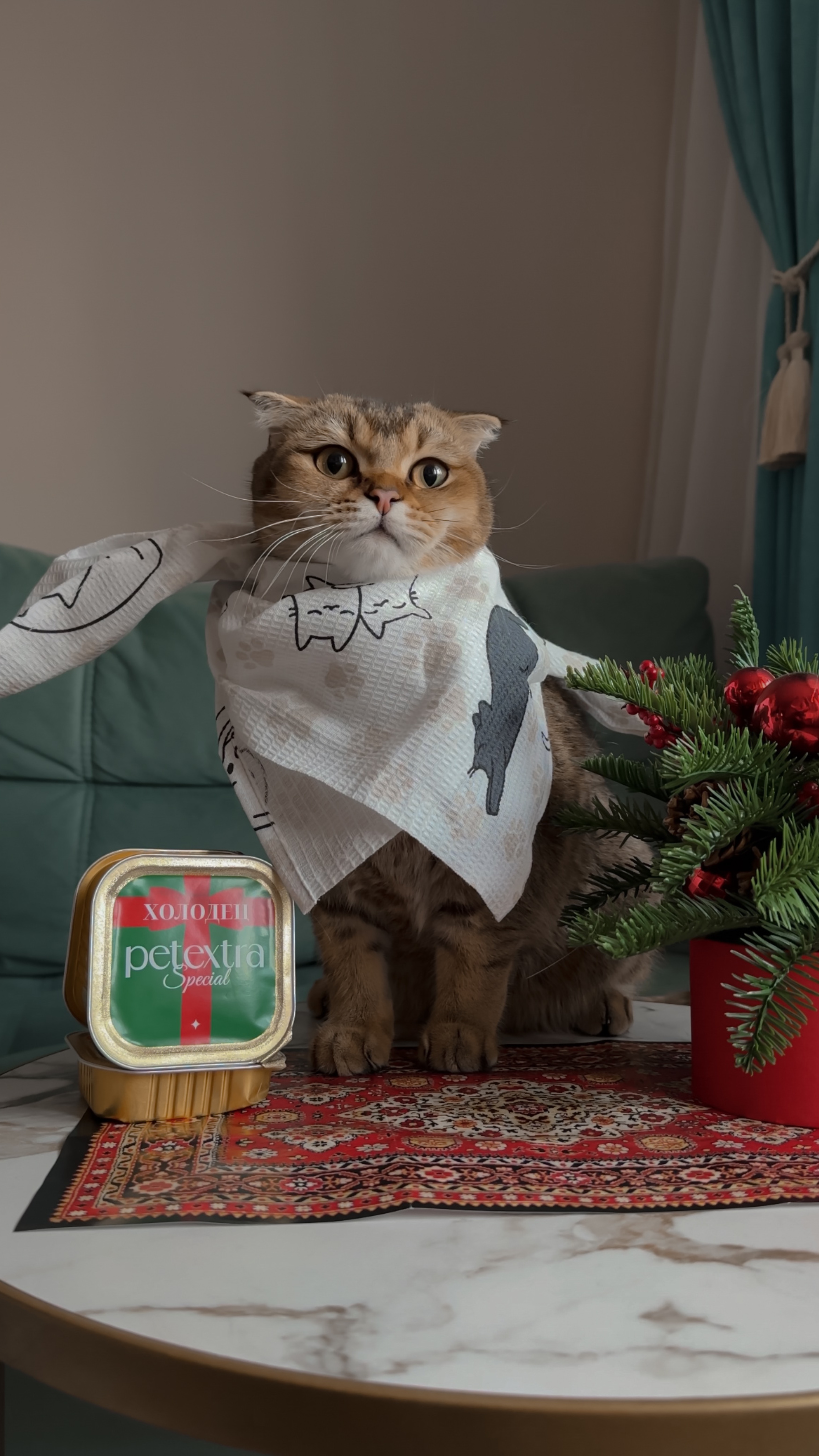Котику лайк ♥️