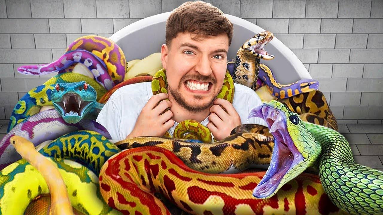 Сел бы в ванну со змеями за $10,000?!